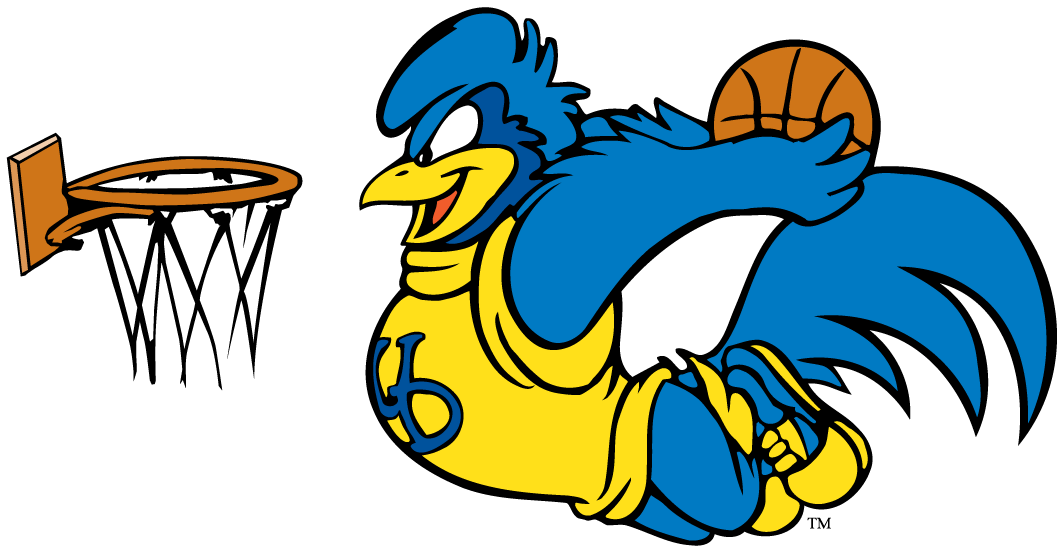 delaware blue hens 1993-pres mascot logo v7 diy fabric transfer